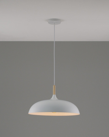 Подвесные светильники — Подвесной светильник Moderli Moderli V1330-P Hygo 1*E27*60W подвесной купить в  Подвесные светильники — Подвесной светильник Moderli Moderli V1330-P Hygo 1*E27*60W подвесной купить в