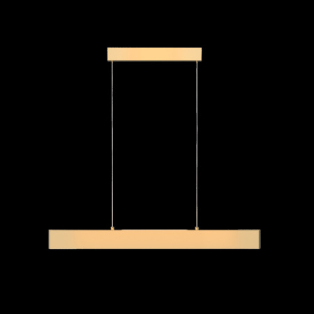 Подвесные светильники — Подвесной светильник Maytoni Technical P010PL-L23G4K купить в 