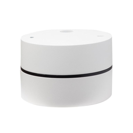 Влагозащищенные точечные светильники — Влагозащищенный светильник LeDron BARREL MINI White купить в 