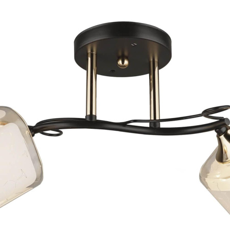 Потолочные люстры — Потолочная люстра Seven Fires Sayn 66141.01.69.02 купить в 