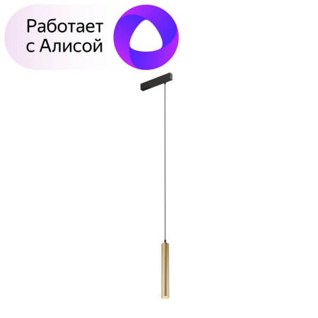 Трековые светильники — Светильник на шине Denkirs DK8008-BG купить в  Трековые светильники — Светильник на шине Denkirs DK8008-BG купить в