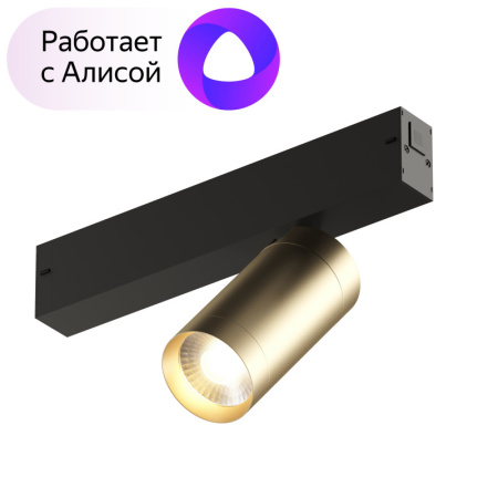 Трековые светильники — Светильник на шине Denkirs DK8010-BG купить в  Трековые светильники — Светильник на шине Denkirs DK8010-BG купить в