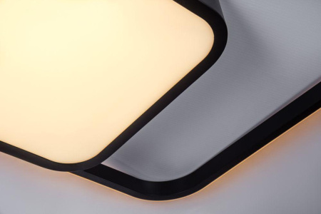 Потолочные светильники — Потолочный светодиодный светильник Escada 10210/2LED купить в  Потолочные светильники — Потолочный светодиодный светильник Escada 10210/2LED купить в