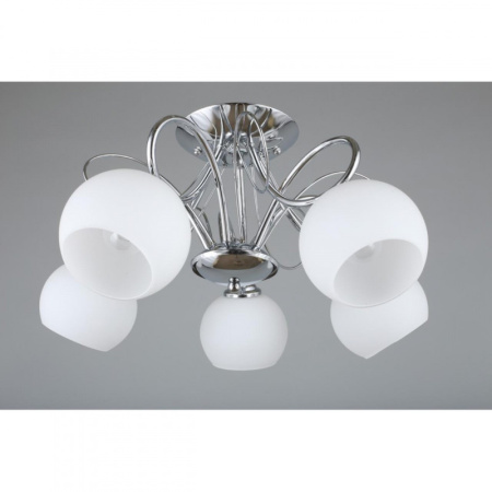 Люстры накладные — Накладная люстра Omnilux OML-24707-05 купить в 