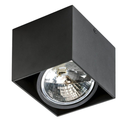 Накладные светильники — Потолочный светильник Azzardo Alex AZ1358 купить в 