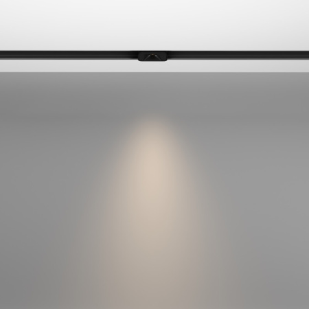 Трековые светильники — Светильник на шине Maytoni Technical TR100-2-2W4K-S-B купить в 