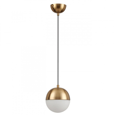 Подвесные светильники — Подвесной светильник Odeon Light 4960/1 купить в 