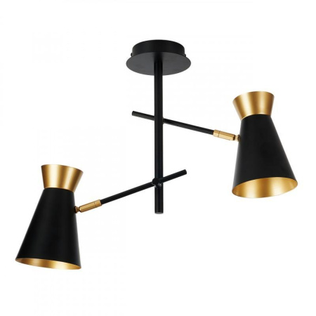 Люстры на штанге — Потолочная люстра IMEX MD.78853-2-S BK+FGD купить в 