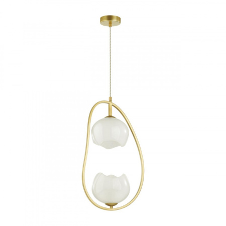 Подвесные светильники — Подвесной светильник Odeon Light 4873/2 купить в 