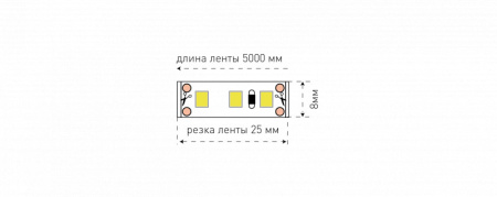 Светодиодные ленты — Лента SWG SWG2120-12-12-W купить в 