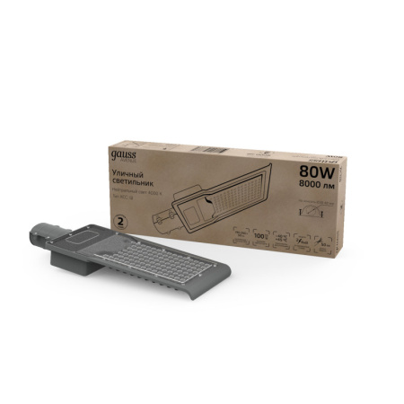 Консольные светильники — Консольный светильник Gauss 629534280 купить в 