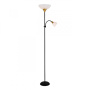 Торшеры и напольные светильники — Торшер ARTE Lamp A9569PN-2BK купить в  Торшеры и напольные светильники — Торшер ARTE Lamp A9569PN-2BK купить в