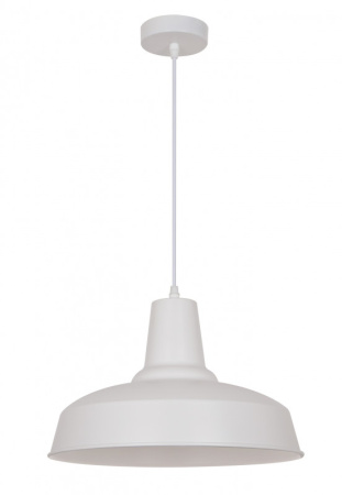 Подвесные светильники — Подвесной светильник Odeon Light 3362/1 купить в 