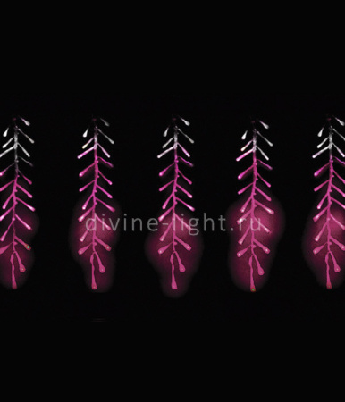 Светодиодная бахрома — Светодиодная бахрома Laitcom ESI160-SH10-1WP купить в  Светодиодная бахрома — Светодиодная бахрома Laitcom ESI160-SH10-1WP купить в