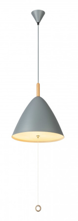 Подвесные светильники — Подвесной светильник Globo 15325G купить в 