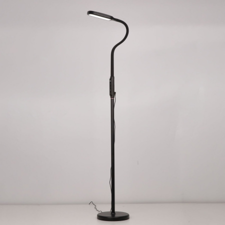 Торшеры и напольные светильники — Торшер Citilux CL804021 купить в 