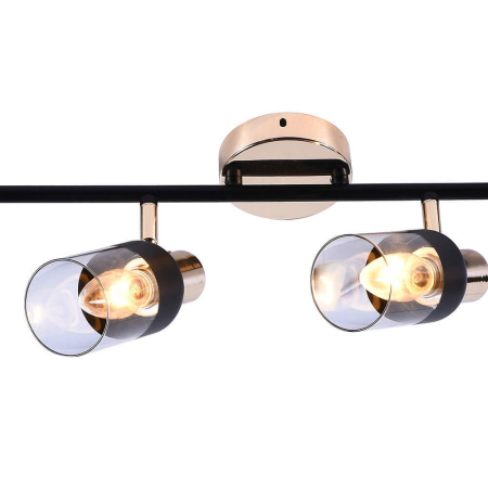 Споты — Спот Seven Fires Тина SF4701/4C-MBK+FGD купить в 