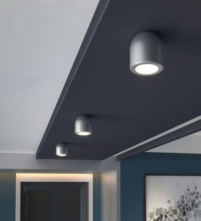 Накладные точечные светильники — Накладной светильник Elektrostandard DLN116 GU10 серебро купить в 