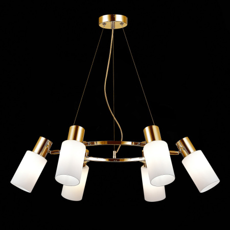 Люстры подвесные — Подвесная люстра Evoluce SLE1139-303-06 купить в 