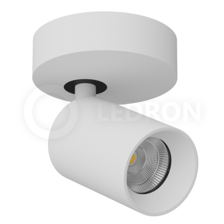 Споты — Спот LeDron SAGITONY R60 White купить в 