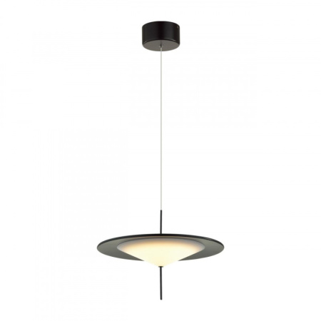 Подвесные светильники — Подвесной светильник Odeon Light 5012/16L купить в 