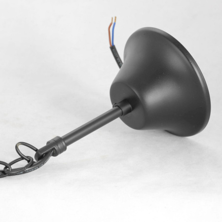 Подвесные светильники — Подвесной светильник Lussole GRLSP-8216 купить в 