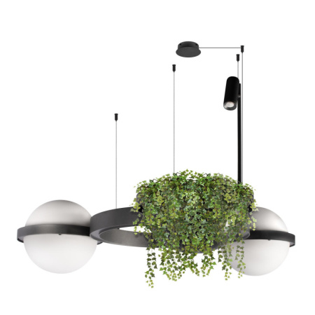 Подвесные светильники — Подвесной светильник LOFT IT 10121/2 Dark grey купить в 