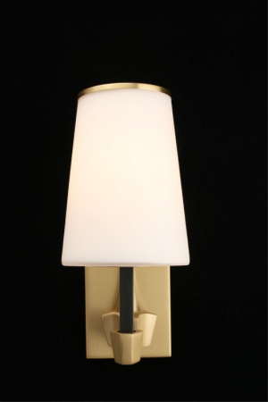 Настенные бра — Бра APLOYT APL.803.01.01 купить в 