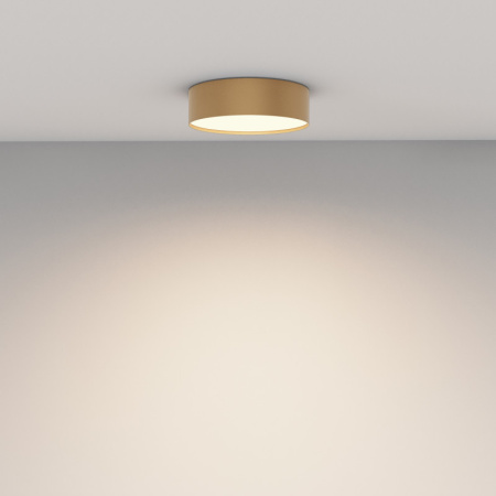 Накладные светильники — Накладной светильник Maytoni Technical C032CL-24W3K-RD-MG купить в 