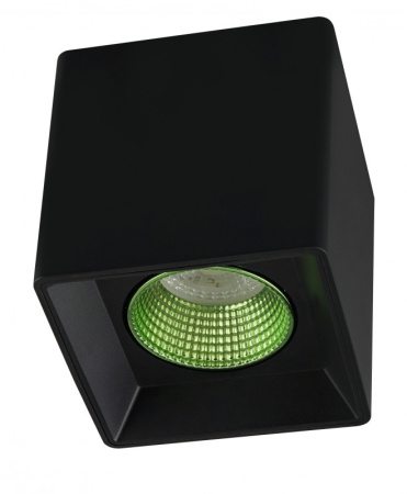 Накладные точечные светильники — Накладной светильник Denkirs DK3080-BK+GR купить в  Накладные точечные светильники — Накладной светильник Denkirs DK3080-BK+GR купить в