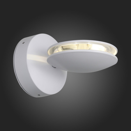 Уличные настенные светильники — Светильник настенный ST-Luce SL090.501.03 купить в 