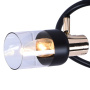 Споты — Спот Seven Fires Тина SF4701/3CA-MBK+FGD купить в  Споты — Спот Seven Fires Тина SF4701/3CA-MBK+FGD купить в