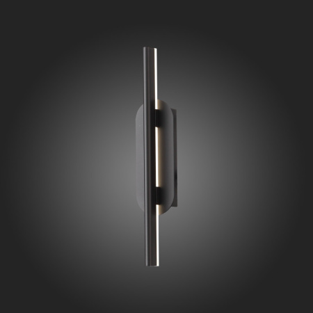 Светильники для картин и зеркал — Светильник для картин ST-Luce SL1598.041.01 купить в 