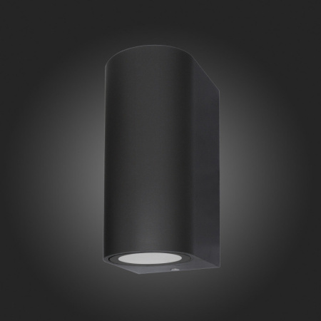 Уличные настенные светильники — Светильник настенный ST-Luce SL9001.401.02 купить в 