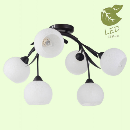 Люстры накладные — Накладная люстра Lussole GRLSF-6283-06 купить в  Люстры накладные — Накладная люстра Lussole GRLSF-6283-06 купить в