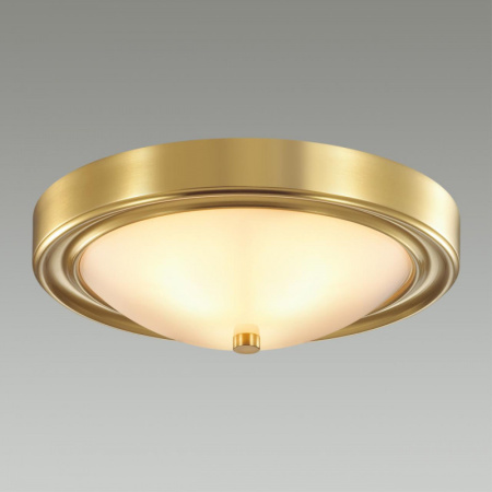 Накладные светильники — Накладной светильник LUMION 5259/2C купить в 