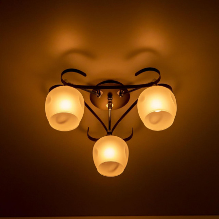 Люстры накладные — Накладная люстра Citilux CL171134 купить в 