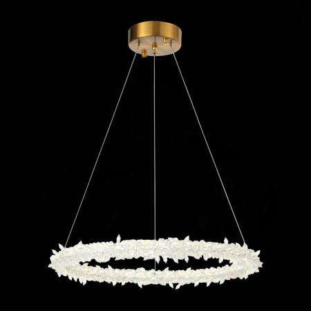 Люстры подвесные — Подвесная люстра ST-Luce SL6105.203.01 купить в 