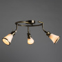Споты — Спот ARTE Lamp A9231PL-3AB купить в  Споты — Спот ARTE Lamp A9231PL-3AB купить в