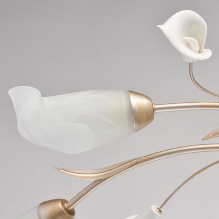 Люстры накладные — Накладная люстра MW-Light 242016306 купить в  Люстры накладные — Накладная люстра MW-Light 242016306 купить в