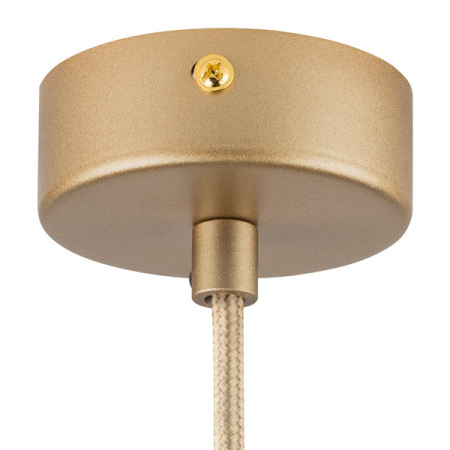 Подвесные светильники — Подвесной светильник Lightstar 816313 купить в 