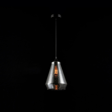 Подвесные светильники — Подвесной светильник Maytoni T314-01-B купить в 