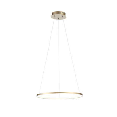 Подвесные светильники — Подвесной светильник ST-Luce SL904.203.01 купить в 