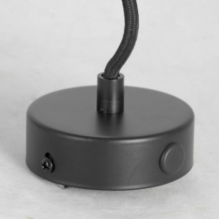 Подвесные светильники — Подвесной светильник Lussole LSP-9888R купить в 