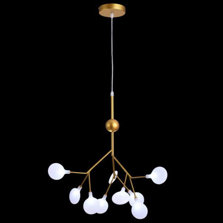 Люстры подвесные — Подвесная люстра Natali Kovaltseva GRACE 75124/6С GOLD SATIN купить в  Люстры подвесные — Подвесная люстра Natali Kovaltseva GRACE 75124/6С GOLD SATIN купить в