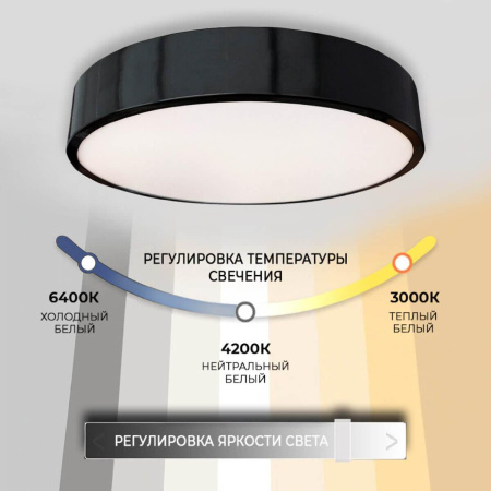 Потолочные светильники — Потолочный светодиодный светильник Seven Fires Эйри 48200.30.36.77BK купить в  Потолочные светильники — Потолочный светодиодный светильник Seven Fires Эйри 48200.30.36.77BK купить в