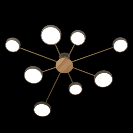 Накладные светильники — Накладной светильник LOFT IT 10316/8 Grey купить в 