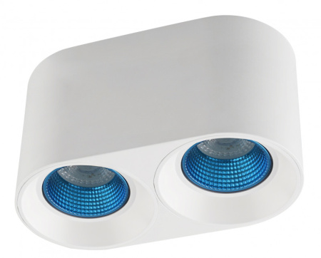 Накладные точечные светильники — Накладной светильник Denkirs DK3096-WH+CY купить в 