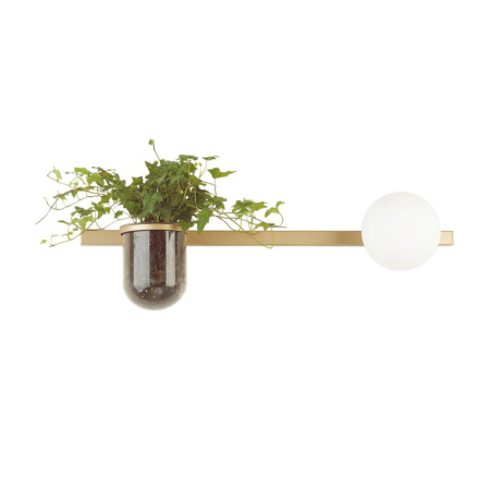 Настенные бра — Бра Odeon Light 4682/1WA купить в 