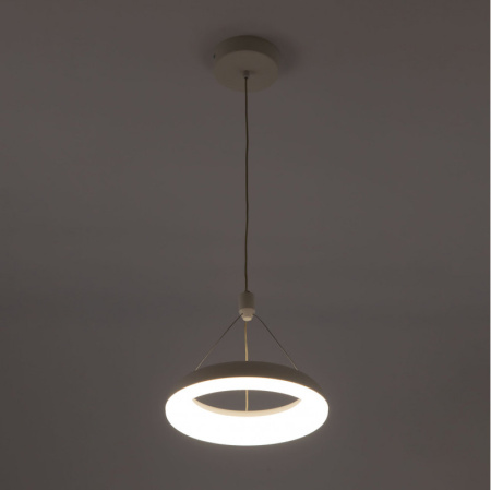 Подвесные светильники — Подвесной светильник Citilux CL225B110 купить в 